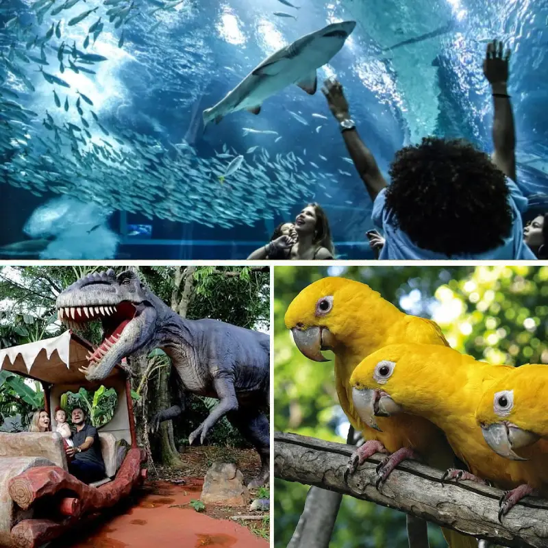 iguazu Brasil